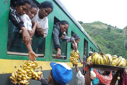 The train Manakara-Fianarantsoa is the lifeblood of the entire region (Madagascar) 