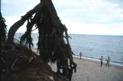 Strong sea erosion at the beach of Maputo, Mozambique 