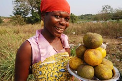 Mutual accountability for the people (photo: fruit vendor in Ghana) 