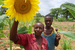 Budget support aims at improving the 
				business climate (photo: sun-flower oil producers in Tanzania)