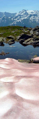 Winds from Africa bring Sahara sand to the Wallis, painting the snow in red colour