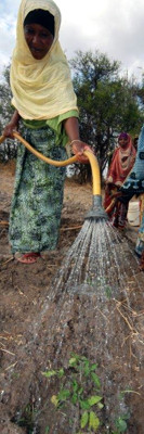 A farmer gardening for self-consumption and local markets (Tanzania)