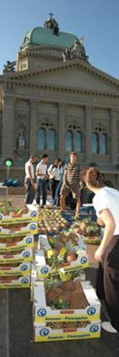 Fair Trade Fair: The world' s largest fruit mosaic made up of over 5000 fair trade pineapples is built up in front of the Swiss parliament.