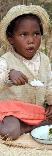 A spoon of rice makes the difference